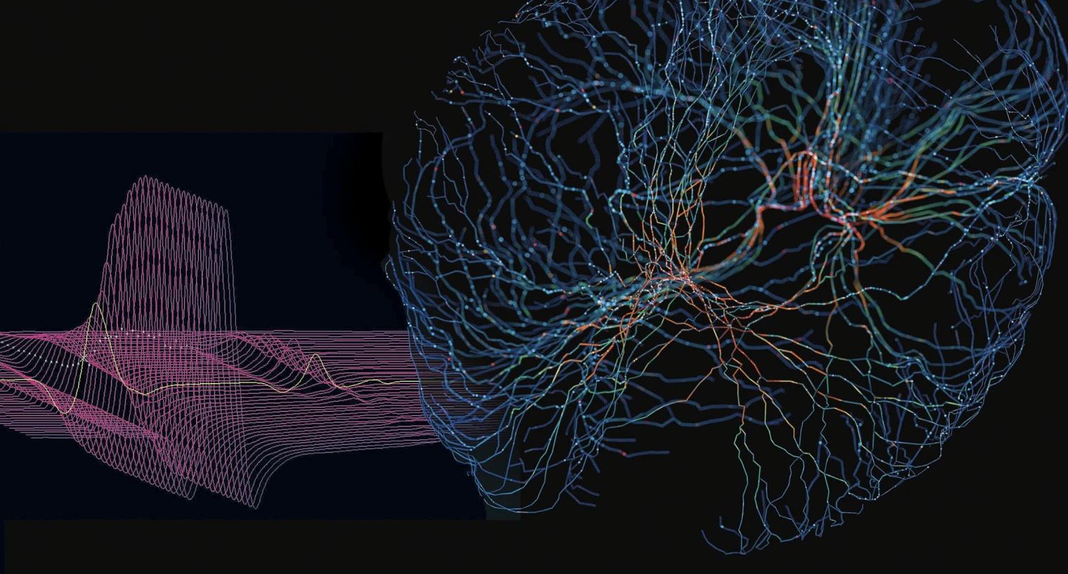 Animal Autonomic and Neuroscience Studies