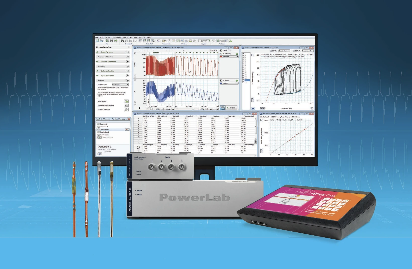 Animal Hemodynamic Studies
