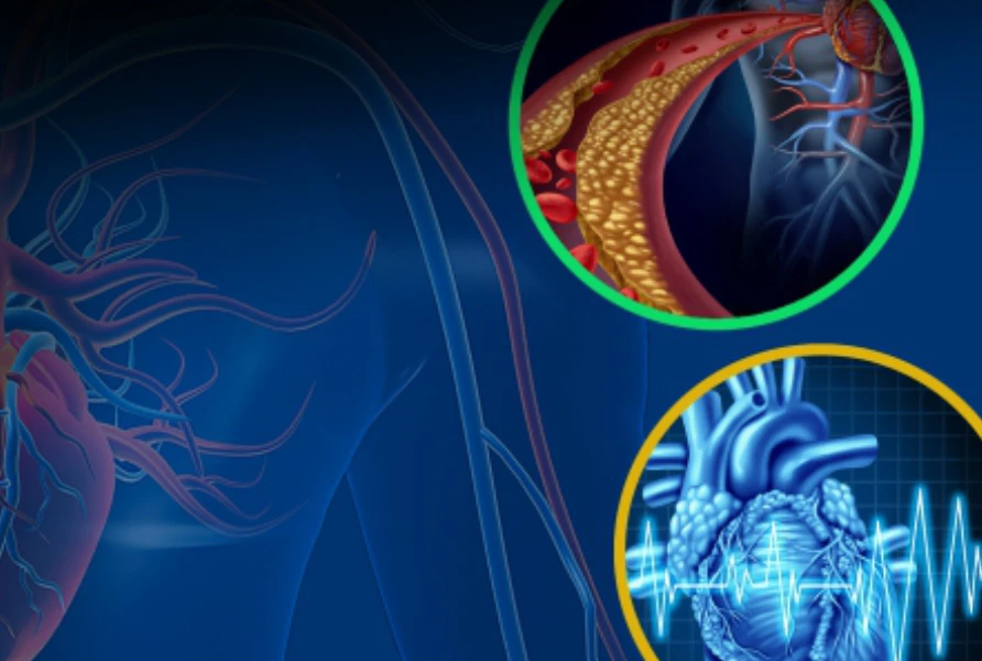 Webinar: Experimental Design Considerations to Optimize Chronic Cardiovascular Telemetry Studies