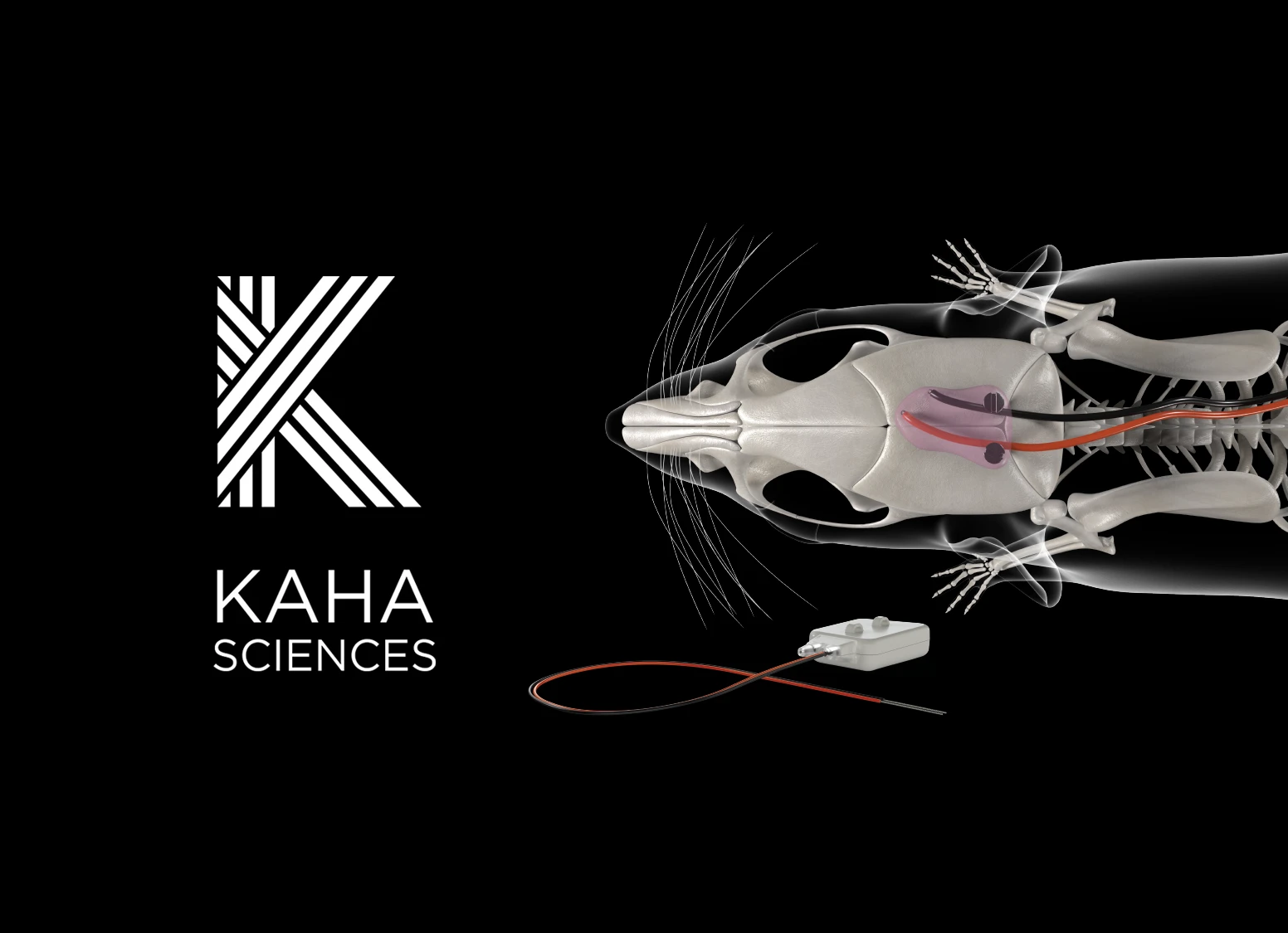 Resources for Telemetry Success