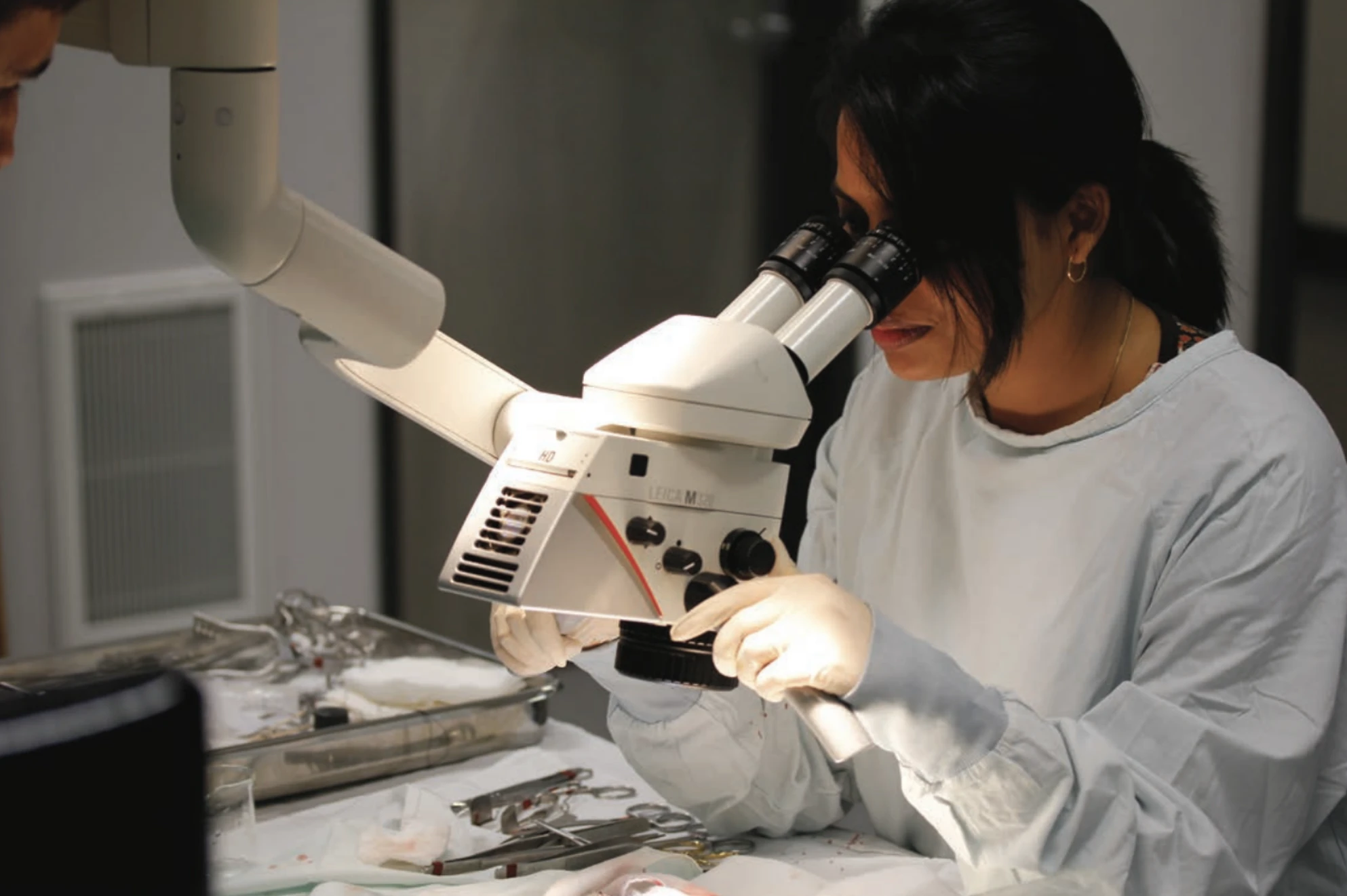 Excellence in Small-Animal Surgery and Telemetry Research Training Program