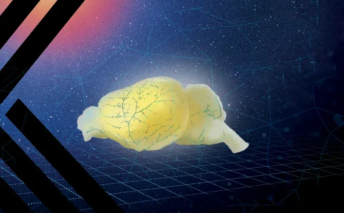 Five Unique Applications Using Telemetry