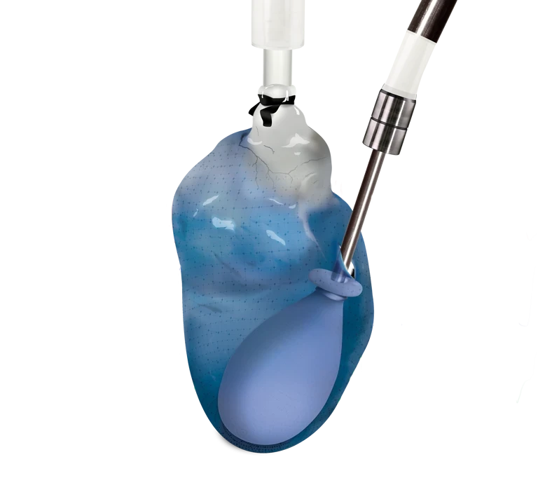 Isolated Organs