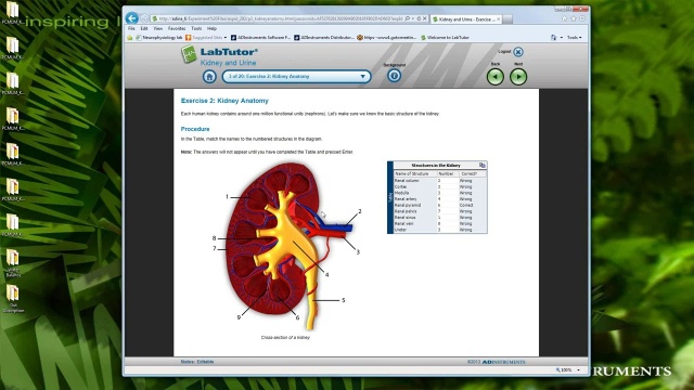 Using LabTutor Teaching Suite without PowerLab | ADInstruments