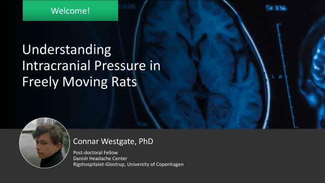 Connar Westgate | Understanding Intracranial Pressure in Freely Moving Rats