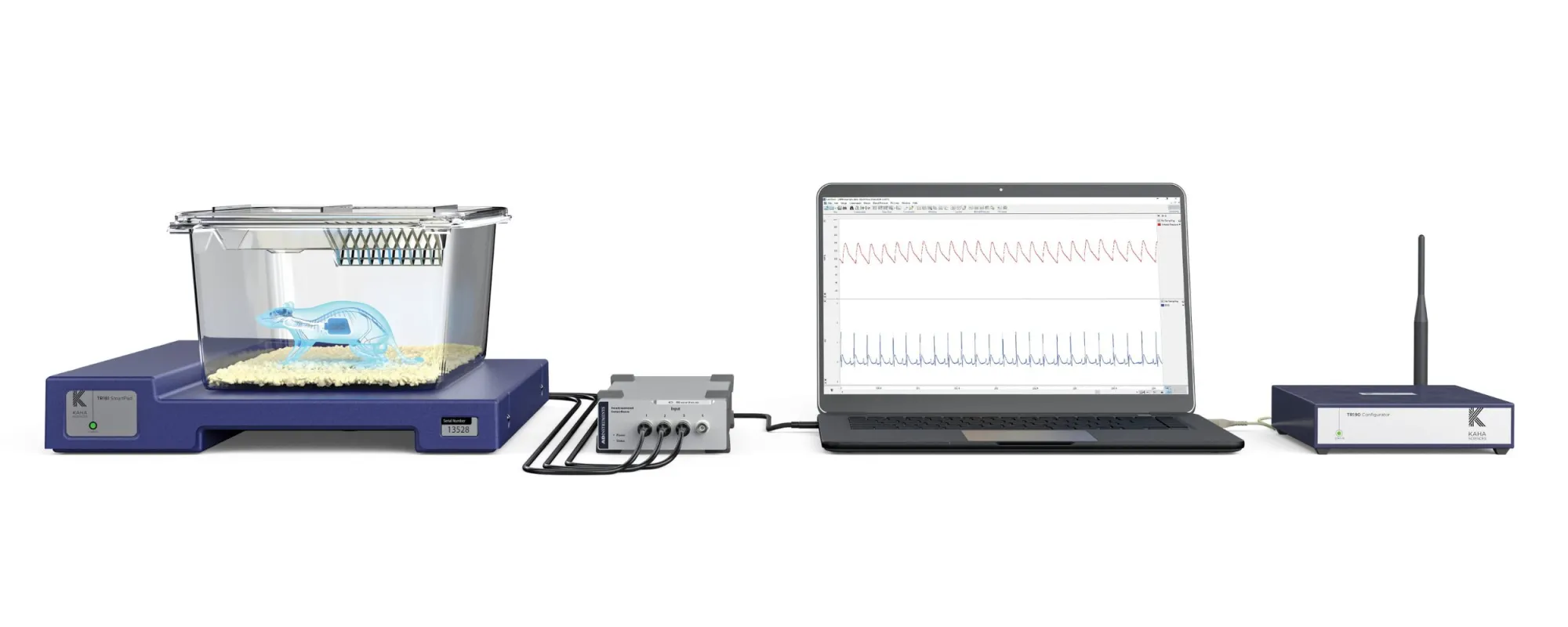 Kaha Single Cage Set-Up