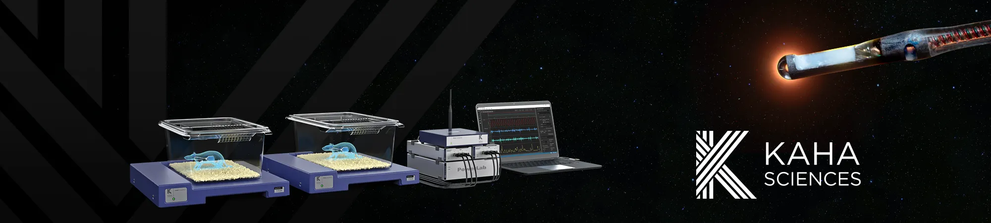 Epilepsy Gene Therapy-Blog