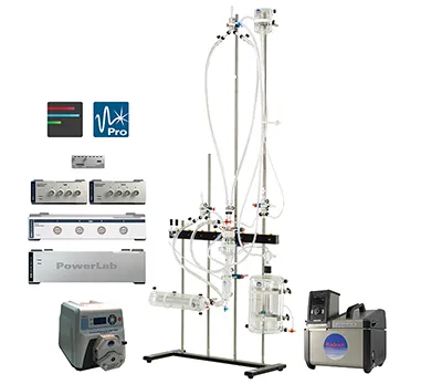 RSBRAD710-V Working Heart Mouse System