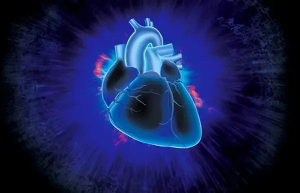 Video Category - Cardiovascular