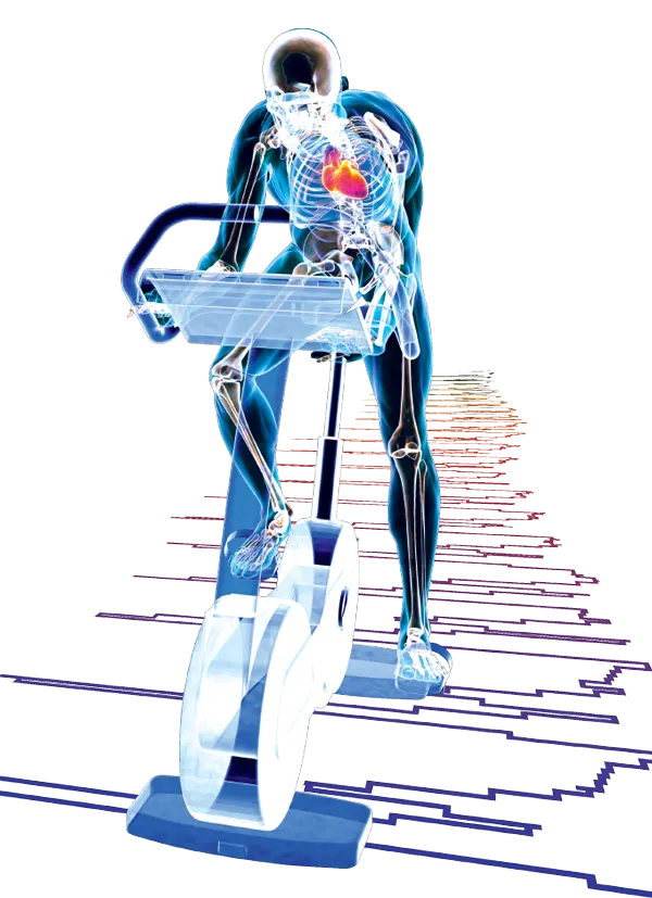 Exercise Physiology Graphic Image of Person on Bike