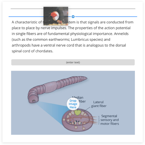 Drag and Drop content
