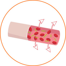 Sepsis stages