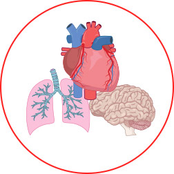 Sepsis stages