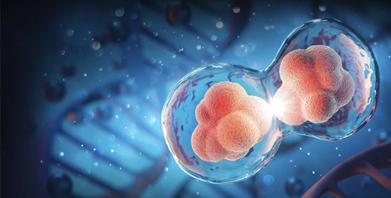 ADInstruments Blog: Research Articles